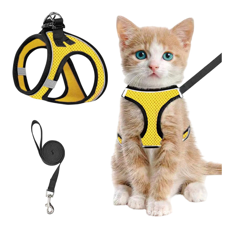 Katzengeschirr mit Luftnetz und Reflektoren