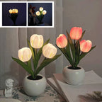 Tulip LED Table Lamp in Ceramic Pot – Warm Decorative Light