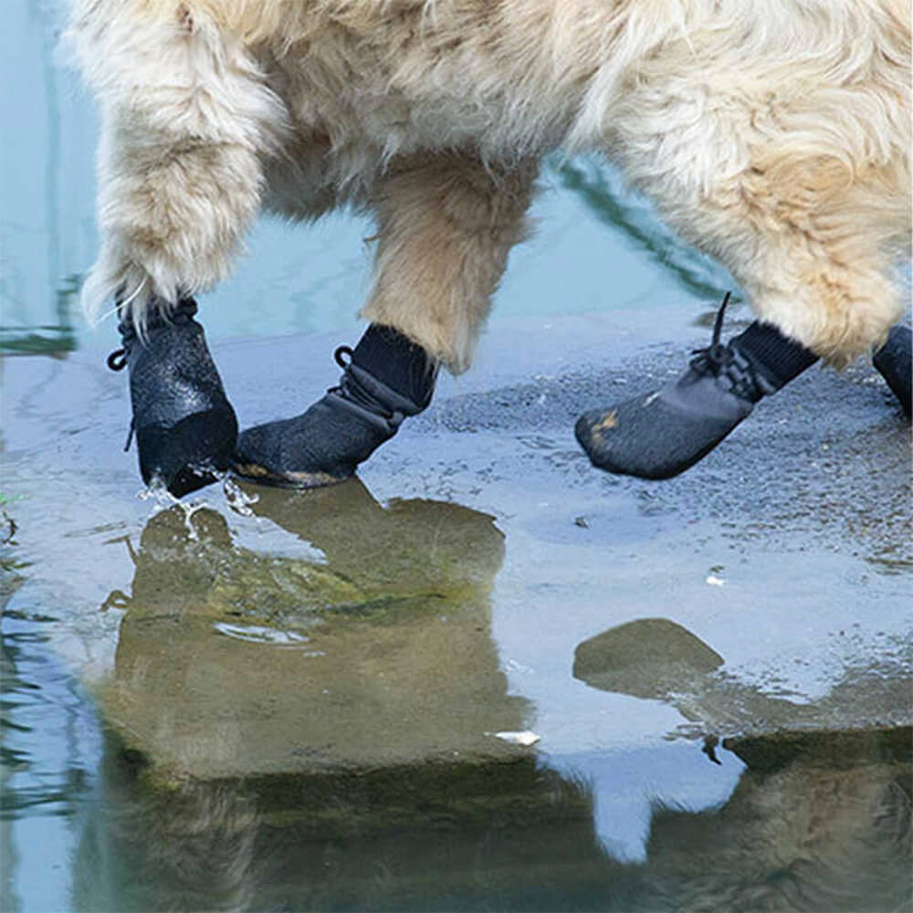 Wasserdichte Hundeschuhe für Wandern und Laufen