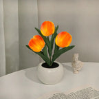 Tulip LED Table Lamp in Ceramic Pot – Warm Decorative Light