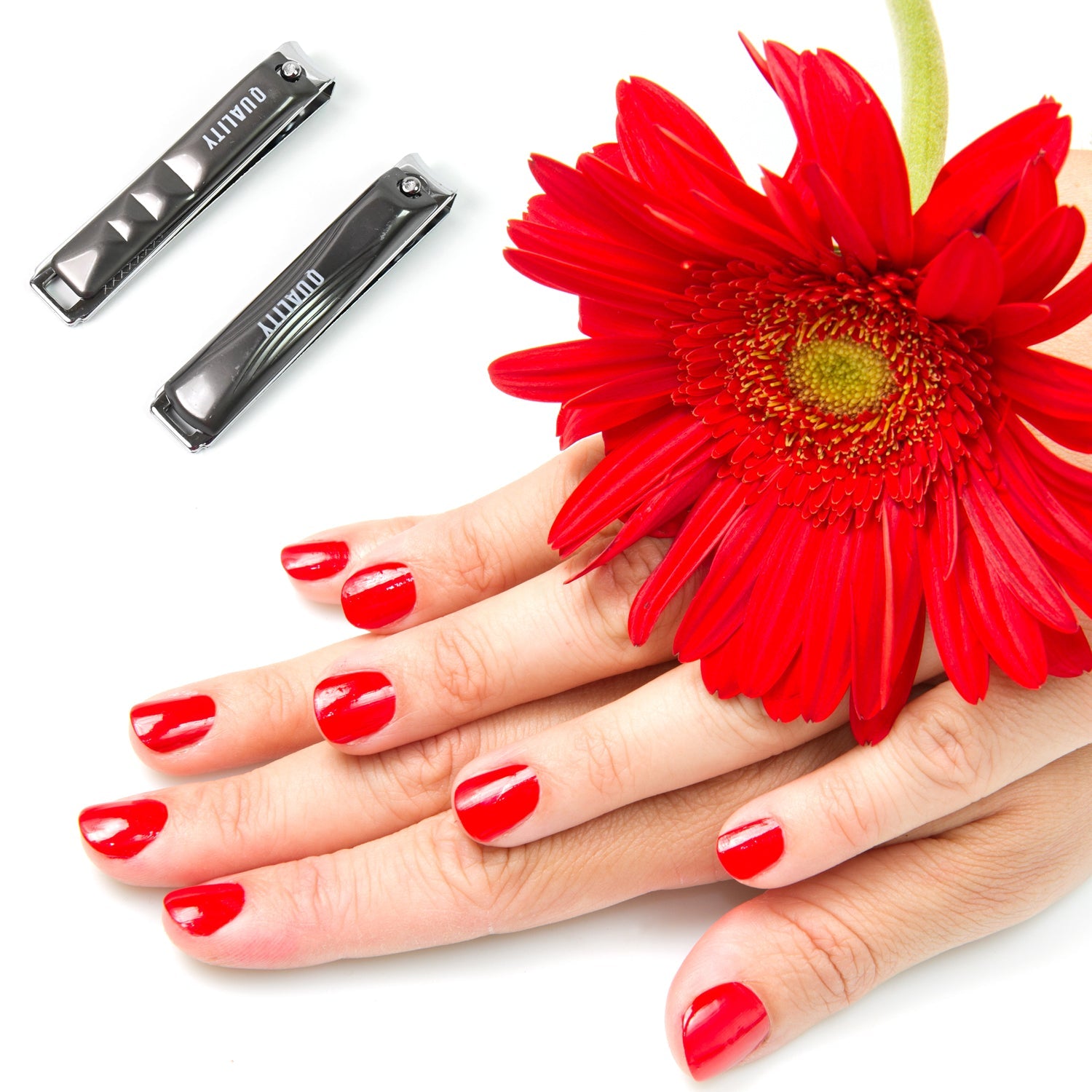 Stainless steel folding nail clipper with nail file