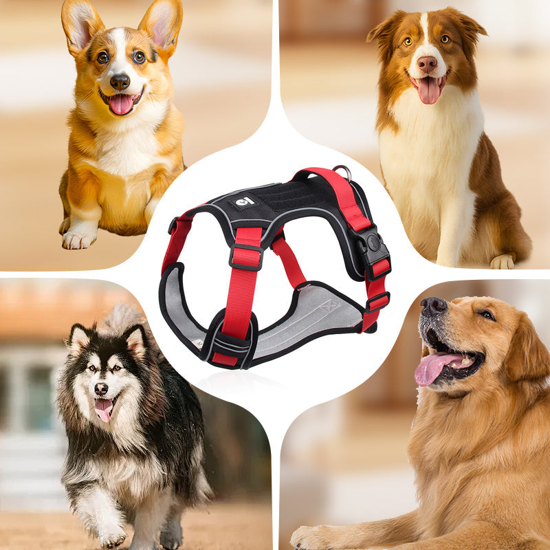 Hundegeschirr Set mit LED-Halsband – Anti-Zieh Design