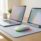 Quiet wireless mouse, Bluetooth 5.2 and USB receiver, rechargeable, RGB