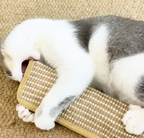 Cat Toy Sisal with Catnip – Claw Care and Teeth Cleaning