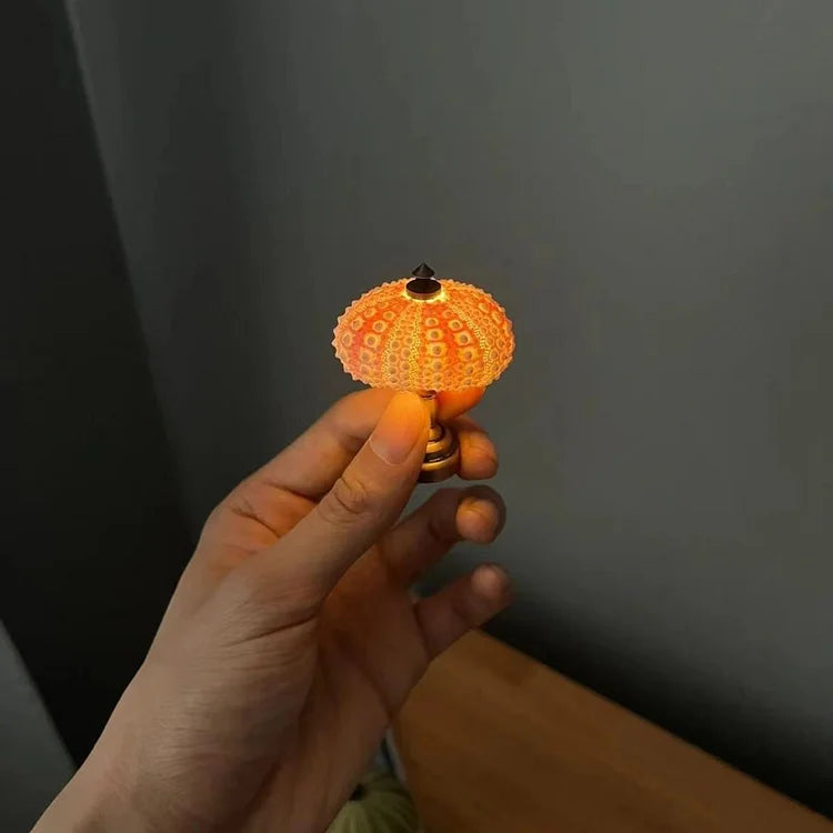 Seeigel-Nachtlampe -   Mivoza Deutschland