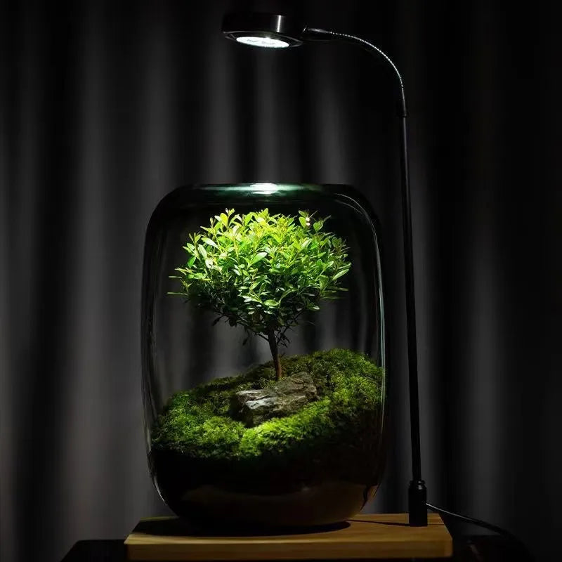 Moos-Terrarium mit Miniaturlandschaft im Glas
