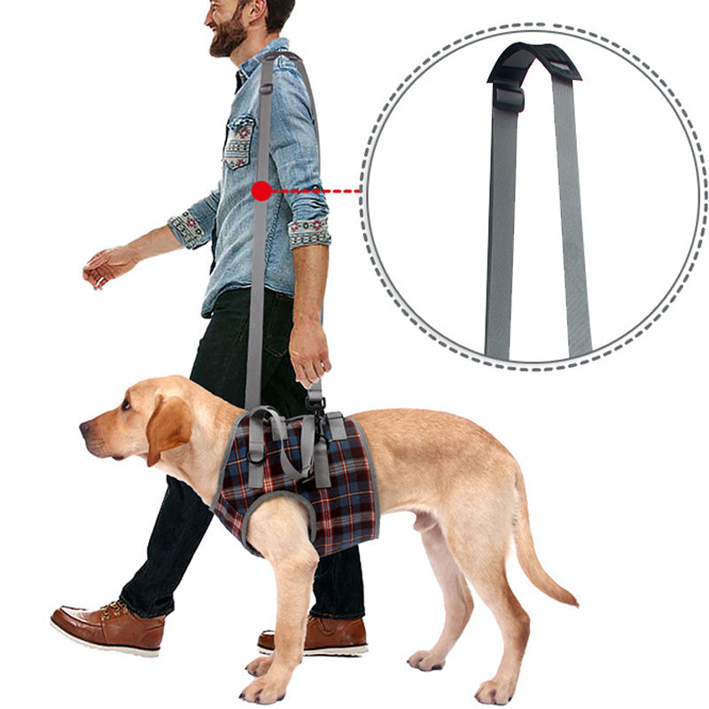 Orthopedic Dog Harness for Hind Legs – Walking Aid for Older Dogs