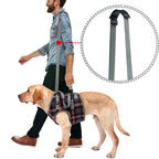 Orthopädisches Hundegeschirr — Gehhilfe für Hinter- & Vorderbeine