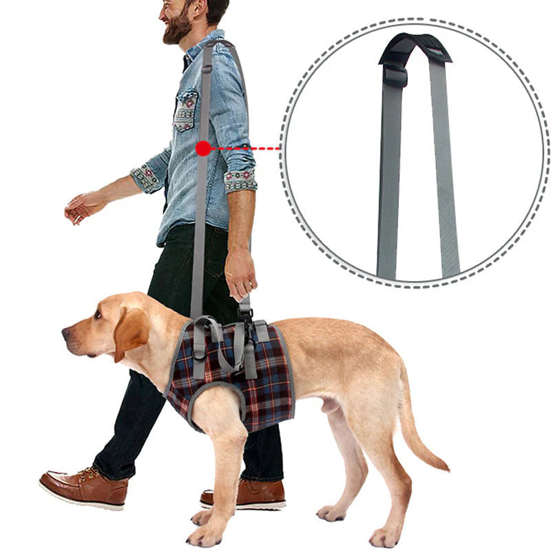 Orthopädisches Hundegeschirr — Gehhilfe für Hinter- & Vorderbeine