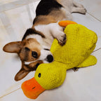 Dog Toy Duck with Squeaker Function