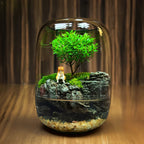 Moos-Terrarium mit Miniaturlandschaft im Glas