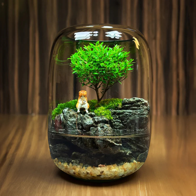 Moos-Terrarium mit Miniaturlandschaft im Glas