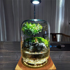 Moos-Terrarium mit Miniaturlandschaft im Glas