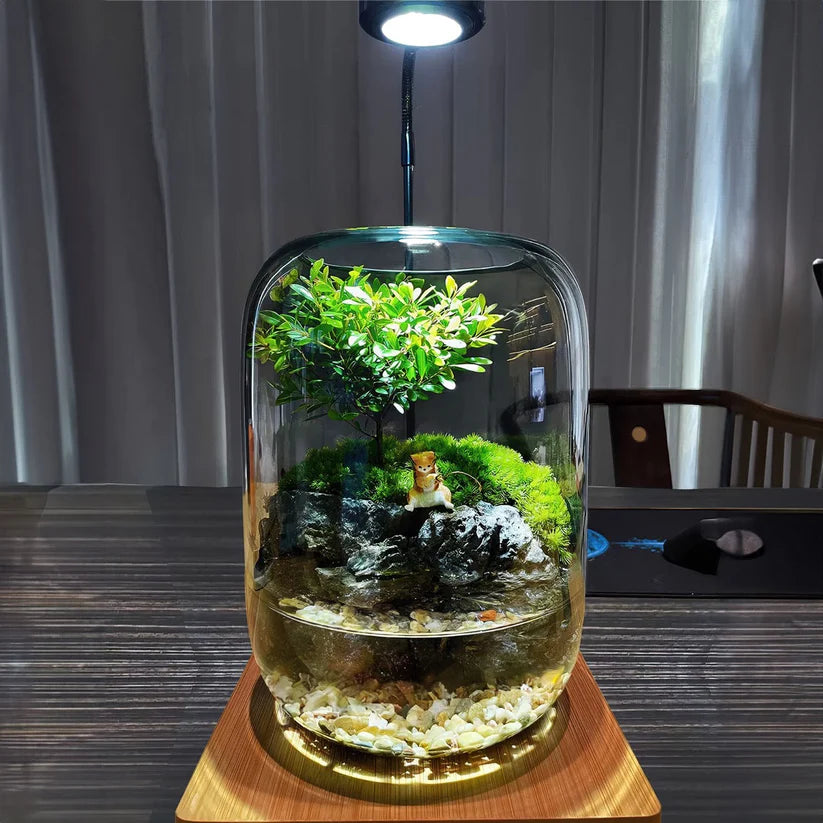 Moos-Terrarium mit Miniaturlandschaft im Glas