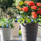 Bewässerungsset Garten mit 50 Tropfern und verstellbaren Düsen