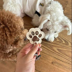 Leather paw keychain with storage compartment