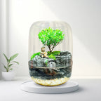 Moos-Terrarium mit Miniaturlandschaft im Glas
