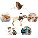 Orthopedic Dog Harness for Hind Legs – Walking Aid for Older Dogs