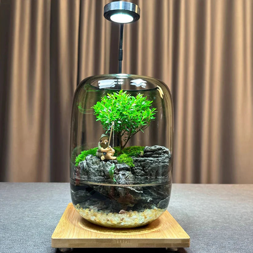 Moos-Terrarium mit Miniaturlandschaft im Glas