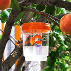 Solar-Wespenfalle mit LED-Anlockung