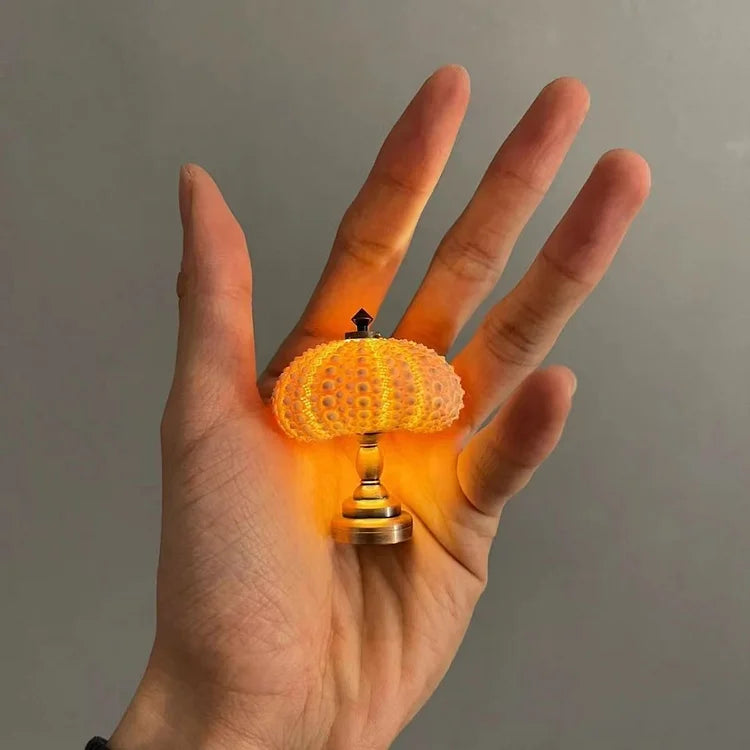 Seeigel-Nachtlampe -   Mivoza Deutschland