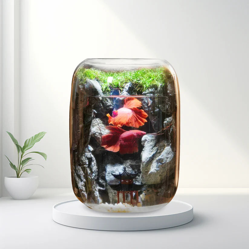 Moos-Terrarium mit Miniaturlandschaft im Glas
