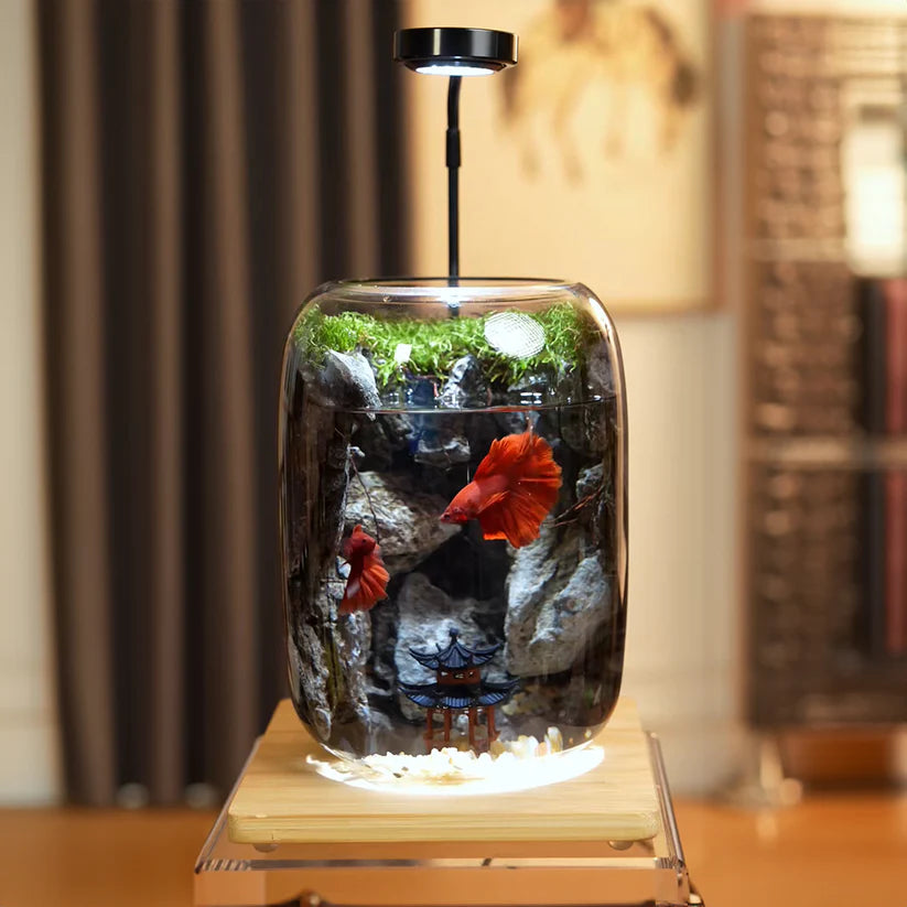 Moos-Terrarium mit Miniaturlandschaft im Glas