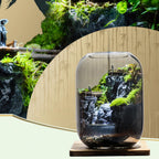 Moos-Terrarium mit Miniaturlandschaft im Glas