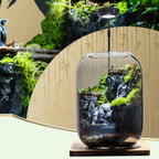 Moos-Terrarium mit Miniaturlandschaft im Glas