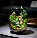 Moos-Terrarium mit Miniaturlandschaft im Glas