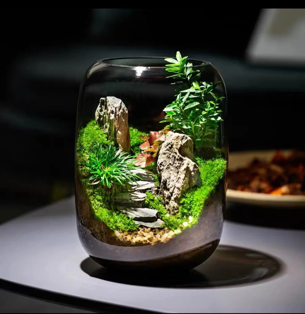 Moos-Terrarium mit Miniaturlandschaft im Glas