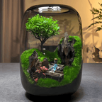Moos-Terrarium mit Miniaturlandschaft im Glas