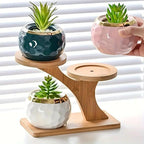 3-tier bamboo plant stand – Tree-shaped display for houseplants
