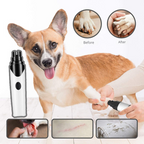 Electric claw grinder for dogs and cats