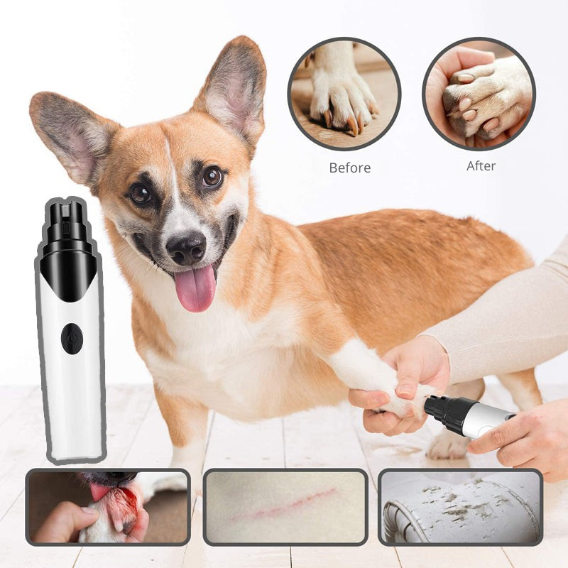 Electric claw grinder for dogs and cats