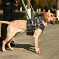 Orthopedic Dog Harness for Hind Legs – Walking Aid for Older Dogs