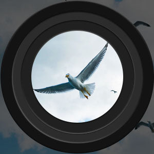 Fernglas 8x35 für Vogelbeobachtung und Outdoor-Abenteuer