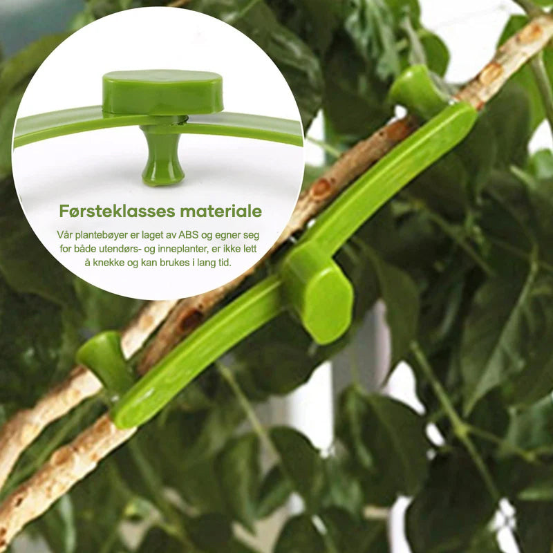 Adjustable plant support for training and growth guidance