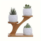 Bamboo Plant Stand with Two Shelves at Different Heights
