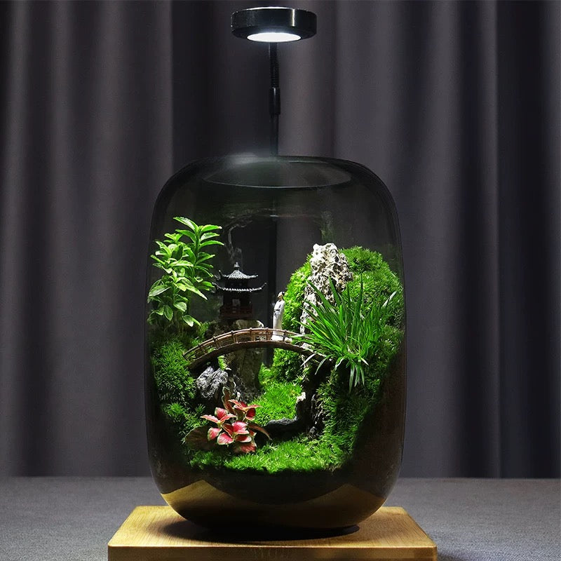 Moos-Terrarium mit Miniaturlandschaft im Glas