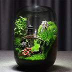 Moos-Terrarium mit Miniaturlandschaft im Glas