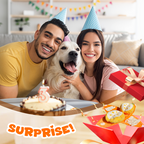 Interaktives Plüsch-Hundespielzeug mit Quietscher – Versteck-Puzzle für Leckerchen