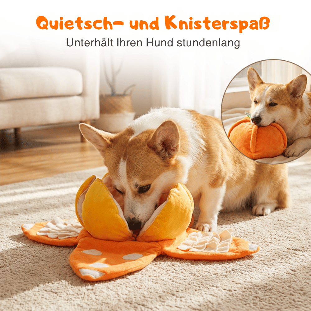 Interaktives Plüsch-Hundespielzeug mit Quietscher – Versteck-Puzzle für Leckerchen