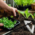 Garden Weed Puller with Hollow Blade – Less Effort, Clean Results