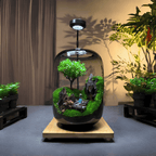 Moos-Terrarium mit Miniaturlandschaft im Glas