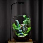 Moos-Terrarium mit Miniaturlandschaft im Glas