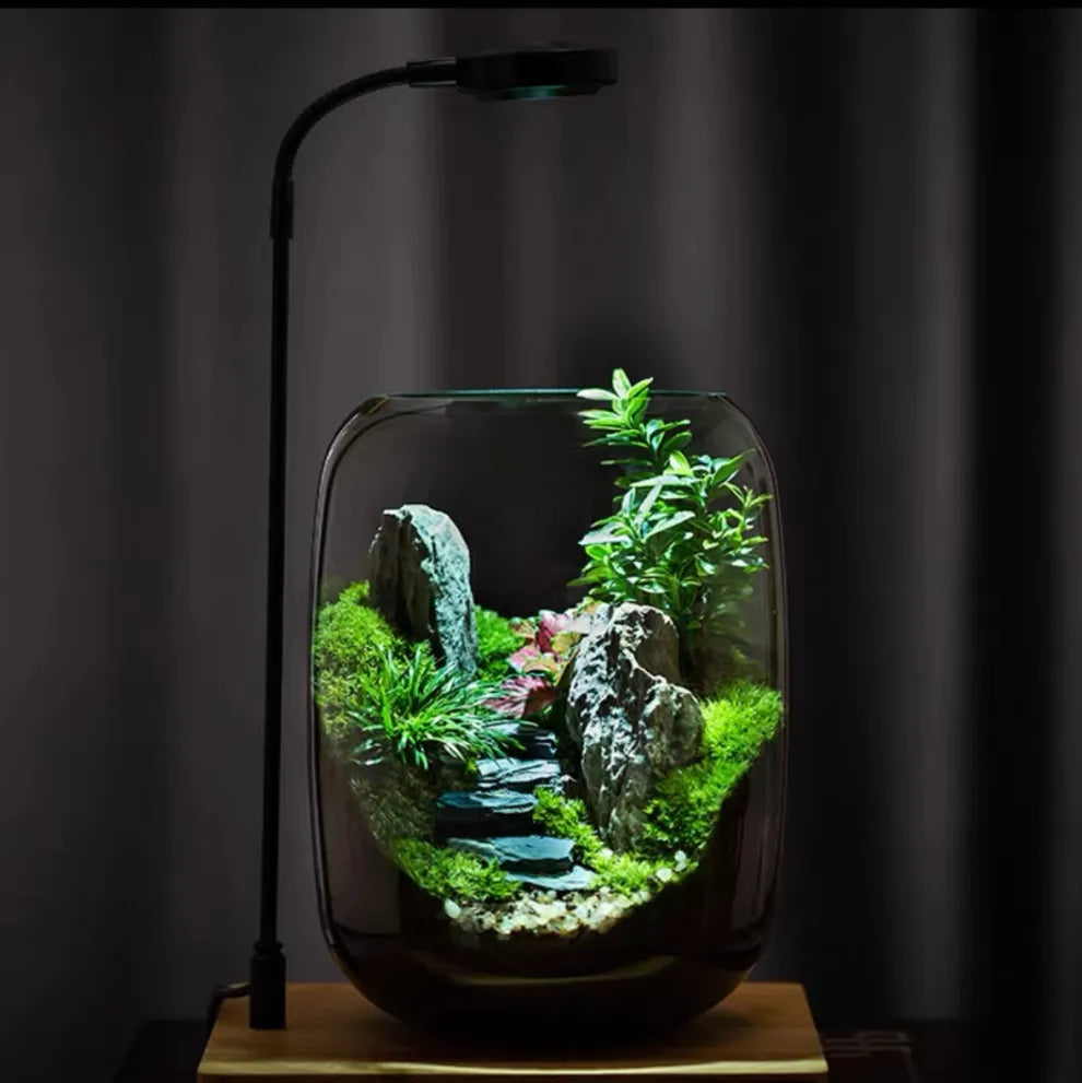 Moos-Terrarium mit Miniaturlandschaft im Glas