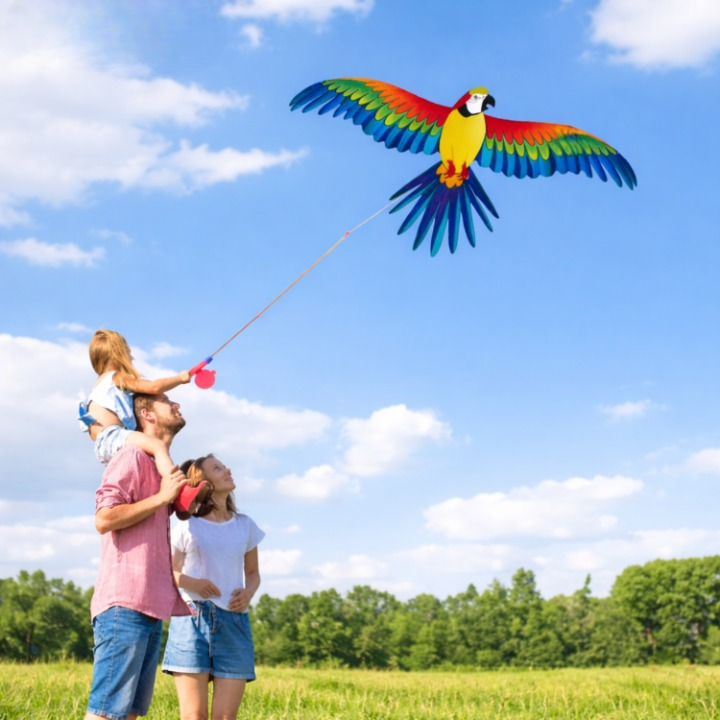 Children's kites with fishing rod handle – Easy control