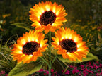 Solar-Sonnenblumenleuchte für Garten und Terrasse