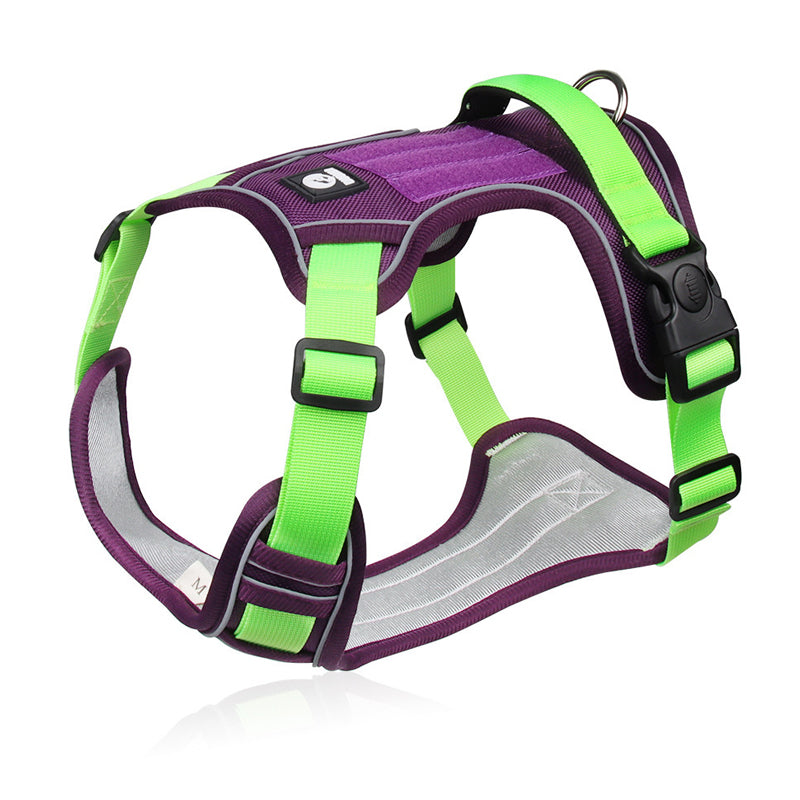Hundegeschirr Set mit LED-Halsband – Anti-Zieh Design